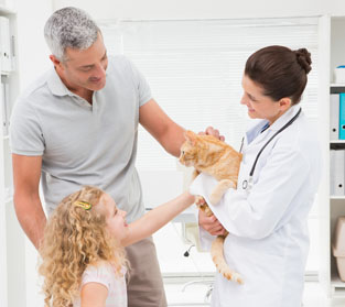 Pet Doctor 911 / Animal Medical Center of McAllen,LLC - Emergency  Veterinarian in McAllen, Texas